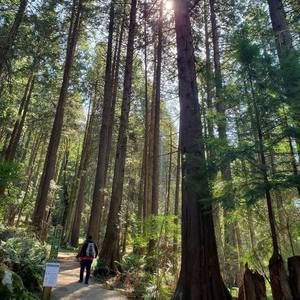 Meet your Posher, Ben